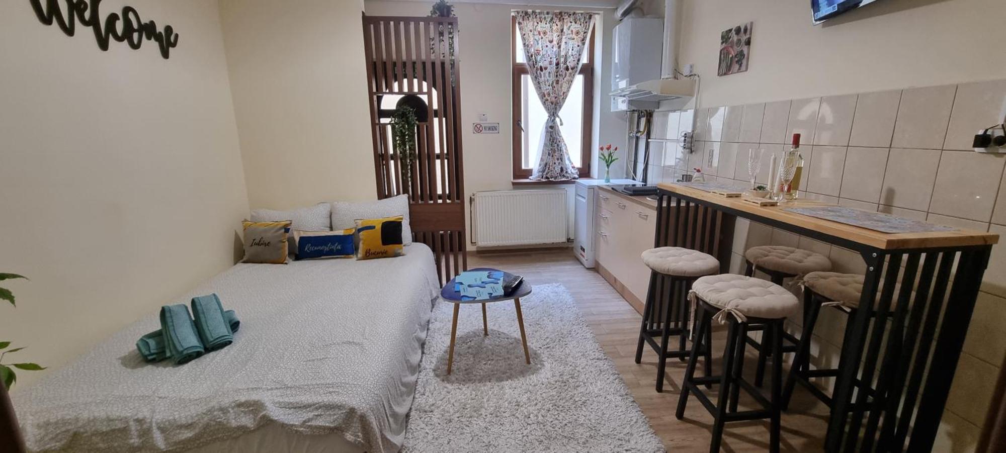 Happy Mood Apartment 5 브라쇼브 객실 사진